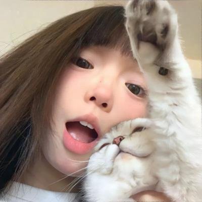 追梦小海豚