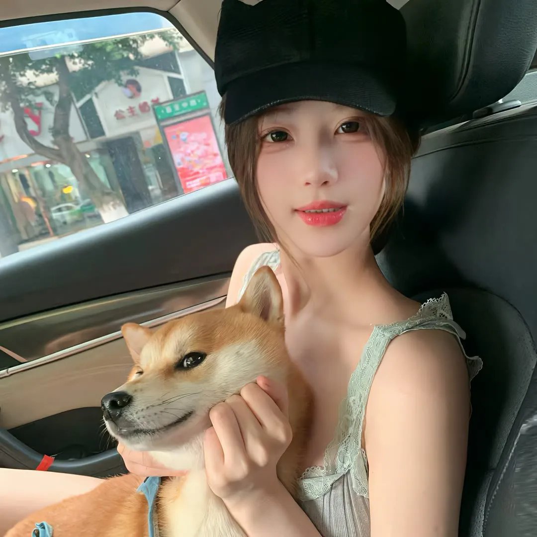 小镇猪事